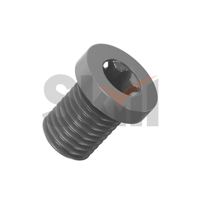 Винт опорной пластины SM0508