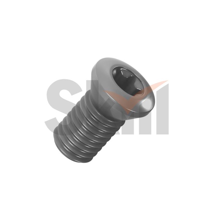 Винт опорной пластины SS04008