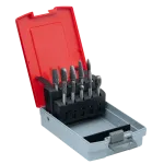 Набор из 10 шт. твердосплавных борфрез, двойная насечка (A06, A10, C06, C10, D08, F10, L06, L10, E10