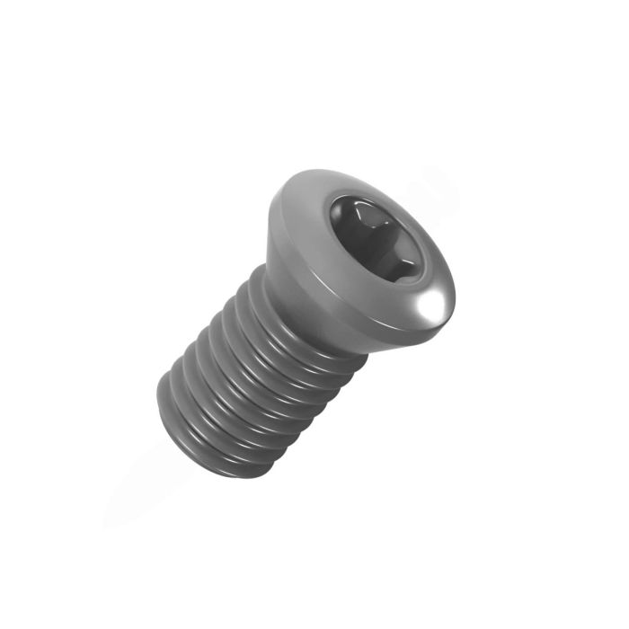 L60M2.5x6 стопорный винт