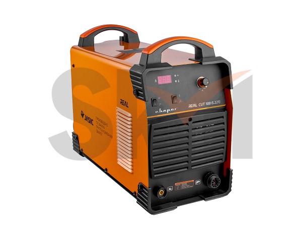 REAL CUT 100 (L221)