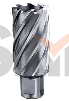 Корончатое сверло (фреза кольцевая) Ø16 L=55/88 мм №07 WELDON19 HSS M2 ТМ